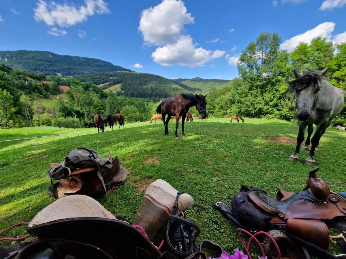 Dome Home Tents Taor Valjevo Kültér fotó