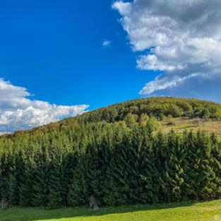 Dome Home Tents Taor Valjevo Kültér fotó